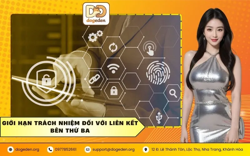 Giới hạn trách nhiệm đối với liên kết bên thứ ba